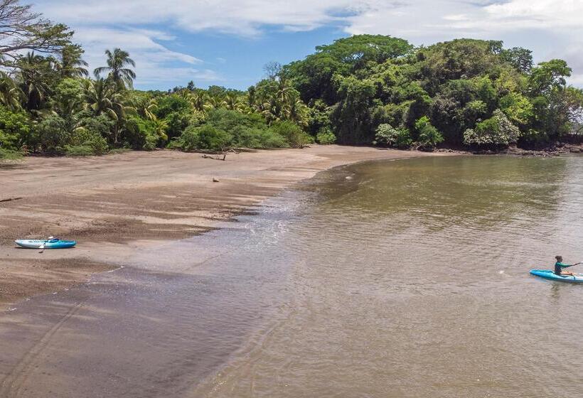 Hotel Isla Palenque Member Of The Cayuga Collection