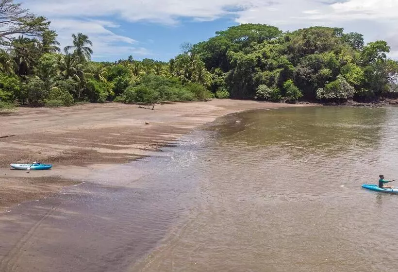 Hotelli Isla Palenque Member Of The Cayuga Collection