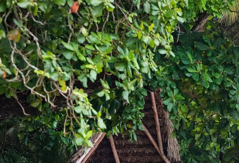Hotelli Isla Palenque Member Of The Cayuga Collection