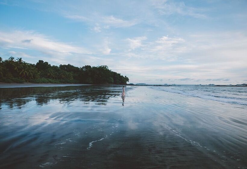 Hotel Isla Palenque Member Of The Cayuga Collection