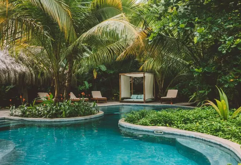 Hotelli Isla Palenque Member Of The Cayuga Collection