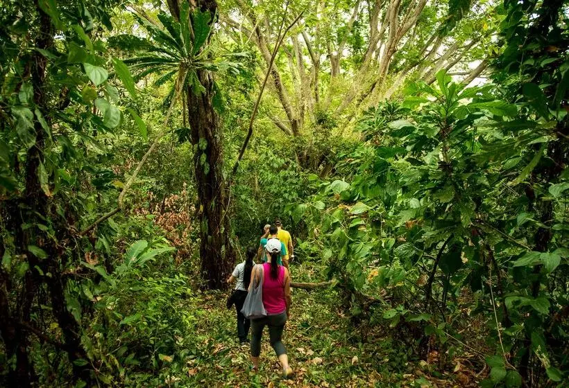 Hotelli Isla Palenque Member Of The Cayuga Collection