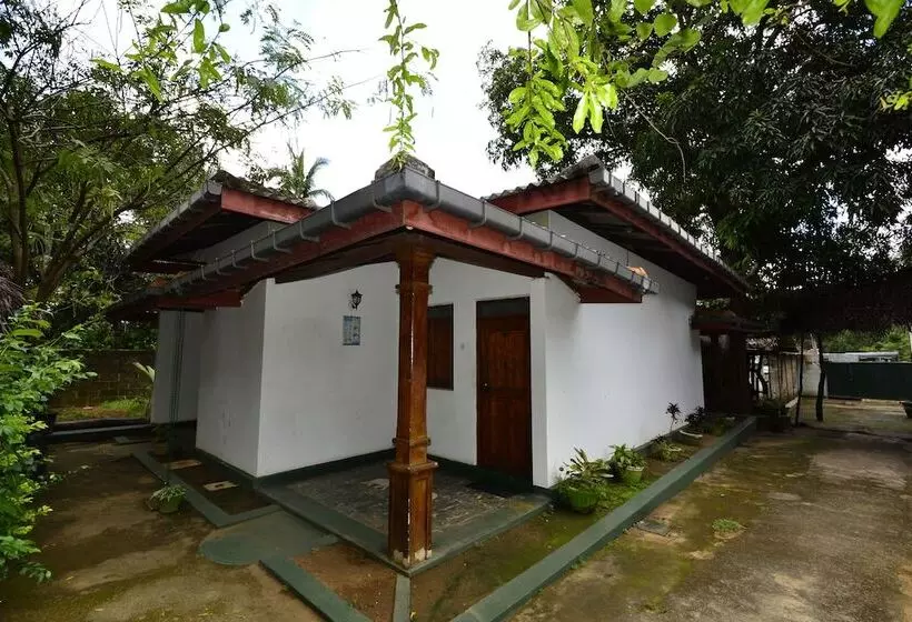 Majatalo Hangout Habarana