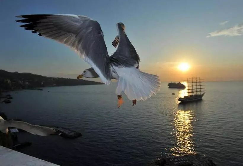 ペンション Sorrento Coast Relais