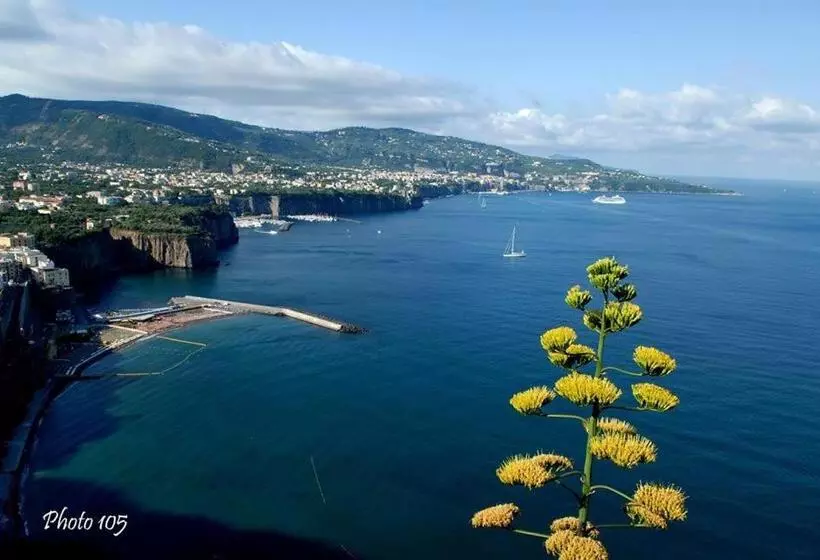 ペンション Sorrento Coast Relais