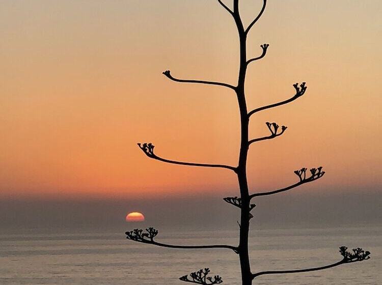 بنسيون Villa Jardin De L'ocean