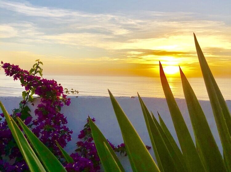 بنسيون Villa Jardin De L'ocean