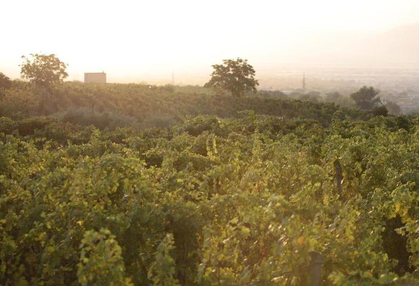 Vesuvio Inn Guest House E Wine Experience