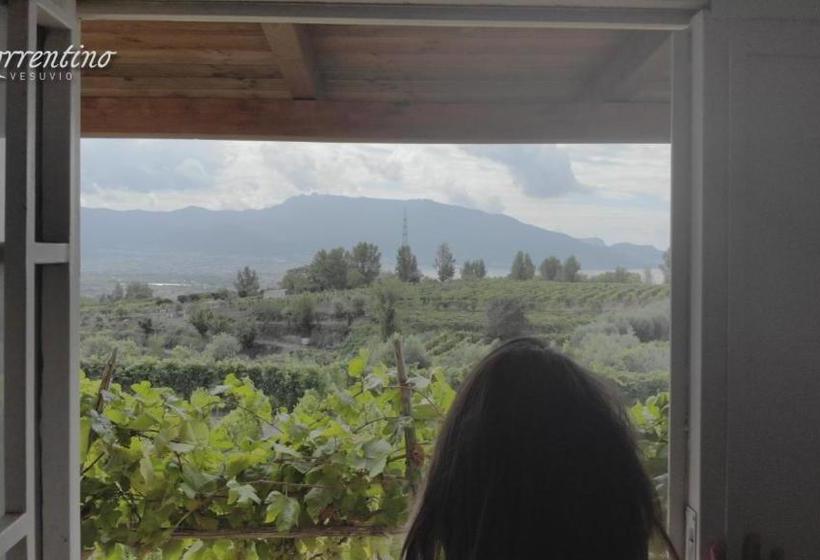 Vesuvio Inn Guest House E Wine Experience