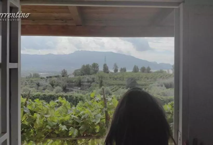 Vesuvio Inn Guest House E Wine Experience