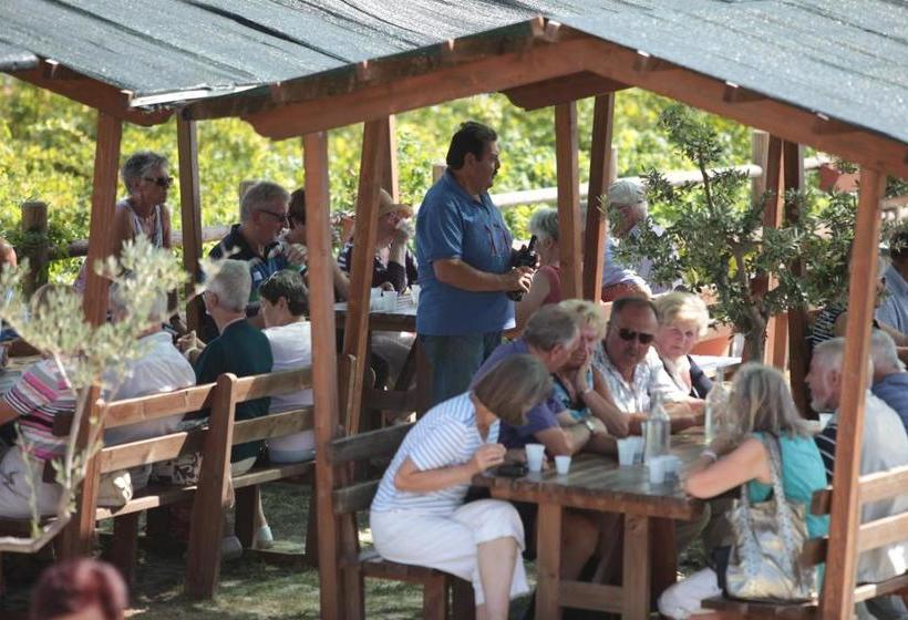 Vesuvio Inn Guest House E Wine Experience