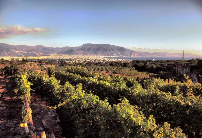 Vesuvio Inn Guest House E Wine Experience