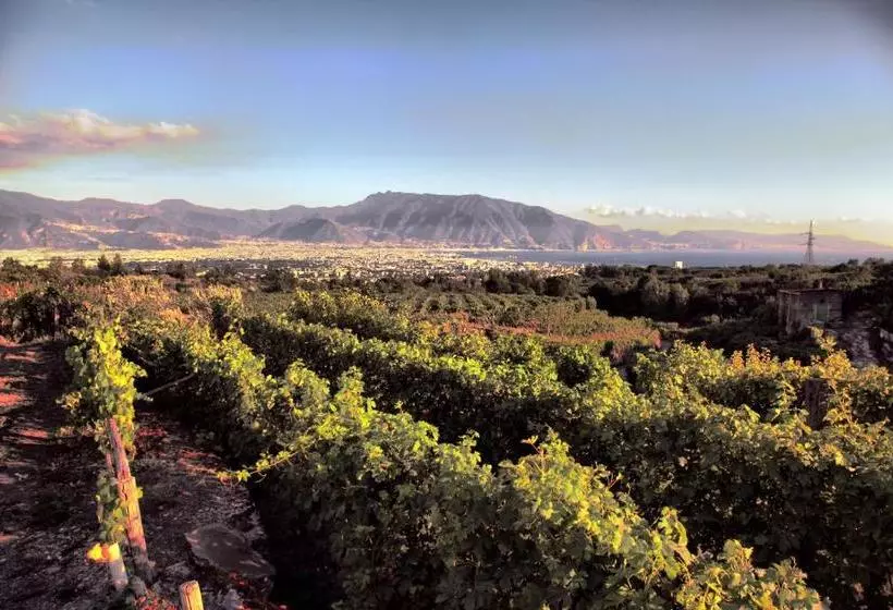 Vesuvio Inn Guest House E Wine Experience