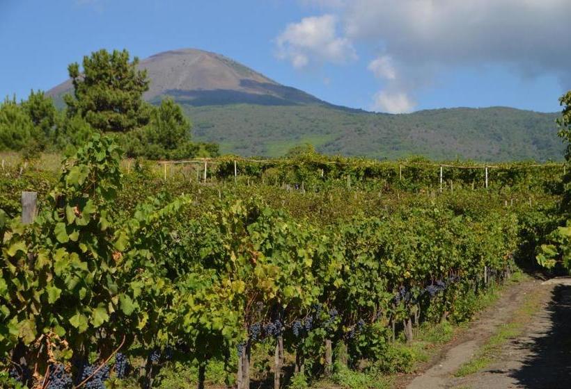 Vesuvio Inn Guest House E Wine Experience