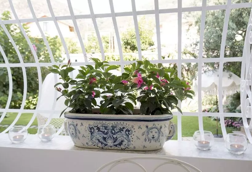 ベッドアンドブレックファースト Palazzo Cacace