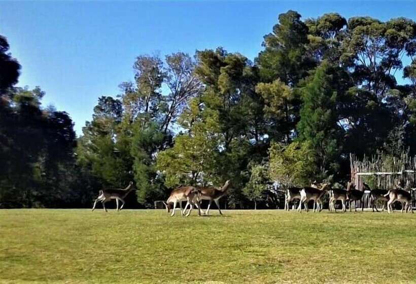 فندق Green Hills Forest Lodge