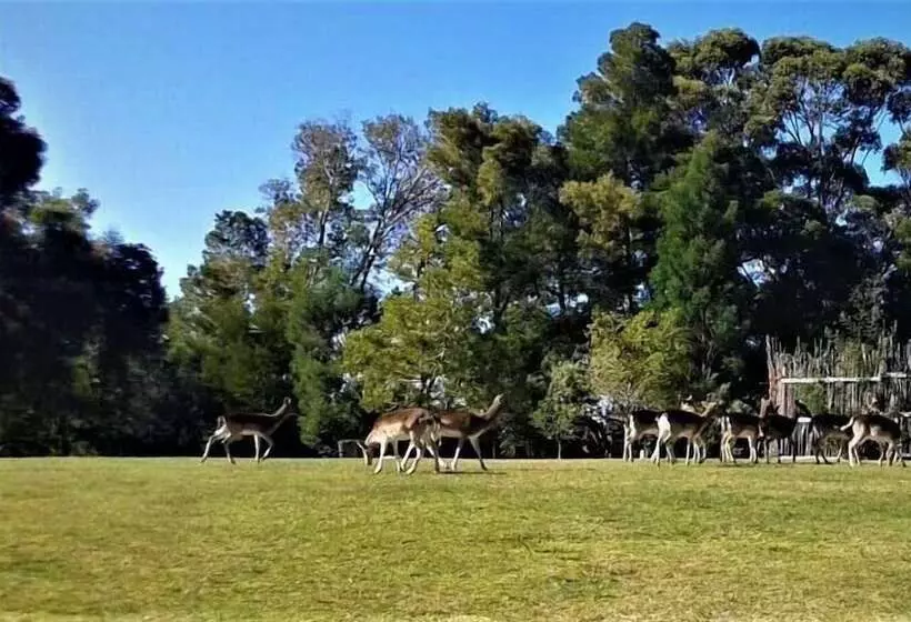 Hotelli Green Hills Forest Lodge