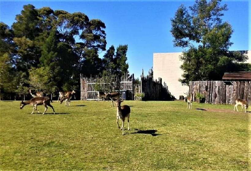 فندق Green Hills Forest Lodge