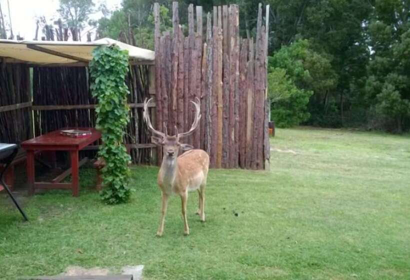 فندق Green Hills Forest Lodge
