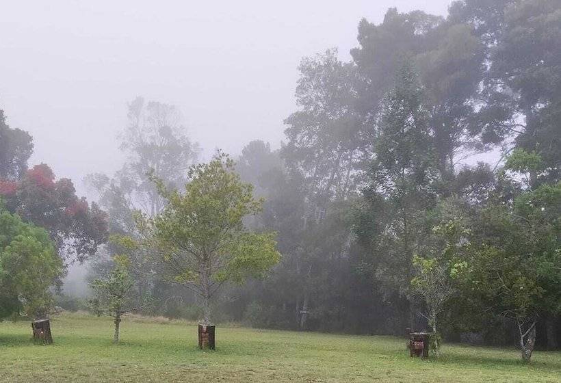 فندق Green Hills Forest Lodge