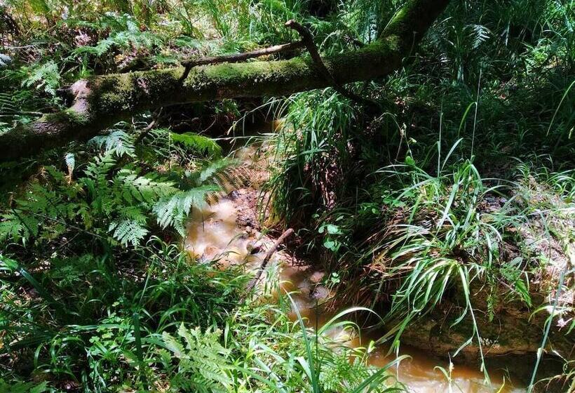 فندق Green Hills Forest Lodge