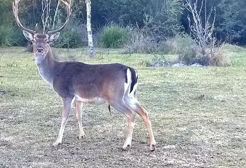 Hotelli Green Hills Forest Lodge