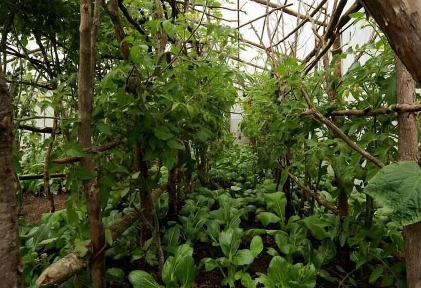 هتل Mountain Lodges Of Nepal   Phakding