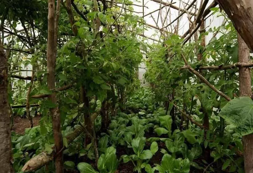 هتل Mountain Lodges Of Nepal   Phakding