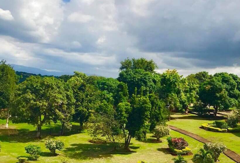 هتل Paradise Reggae Resort