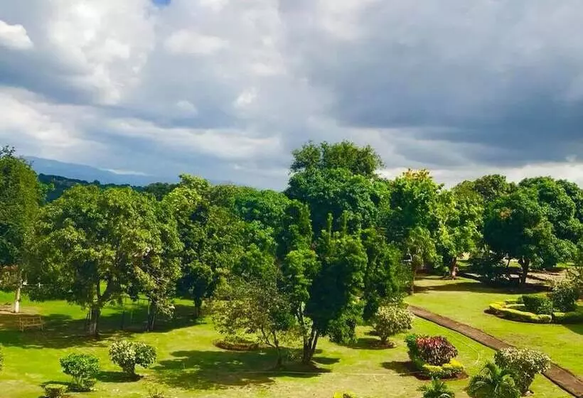 هتل Paradise Reggae Resort