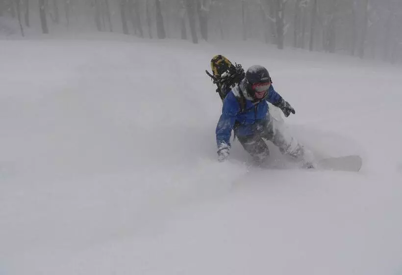 Ryokan Park Lodge Sekine