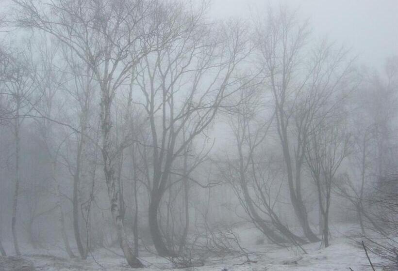 Ryokan Park Lodge Sekine