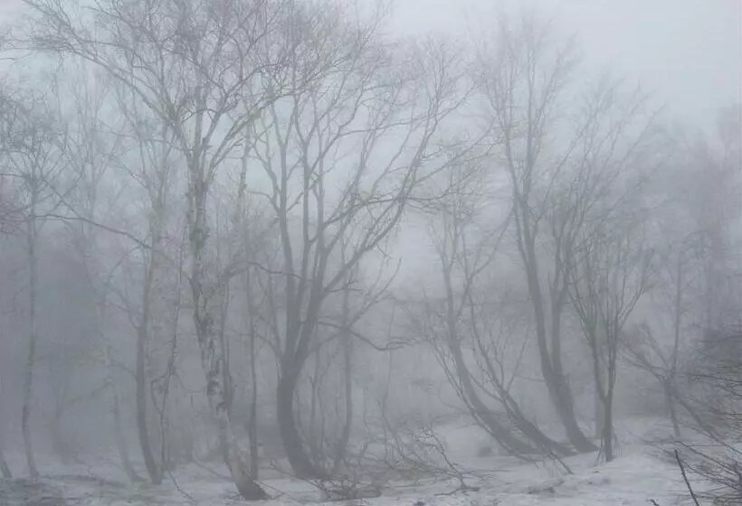 Ryokan Park Lodge Sekine