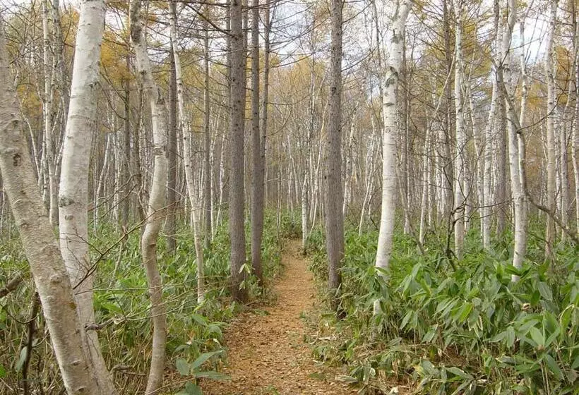 Ryokan Park Lodge Sekine
