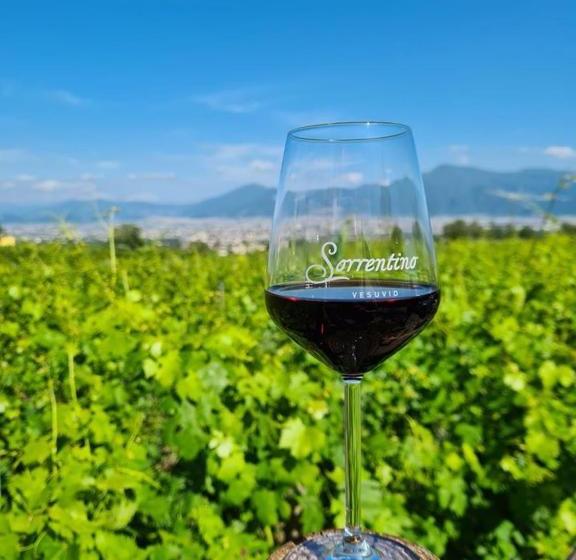 Vesuvio Inn Guest House E Wine Experience