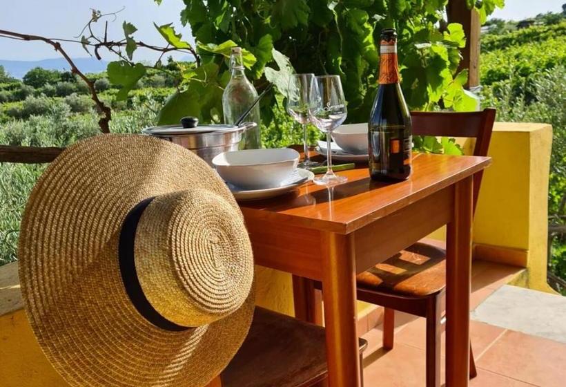 Vesuvio Inn Guest House E Wine Experience