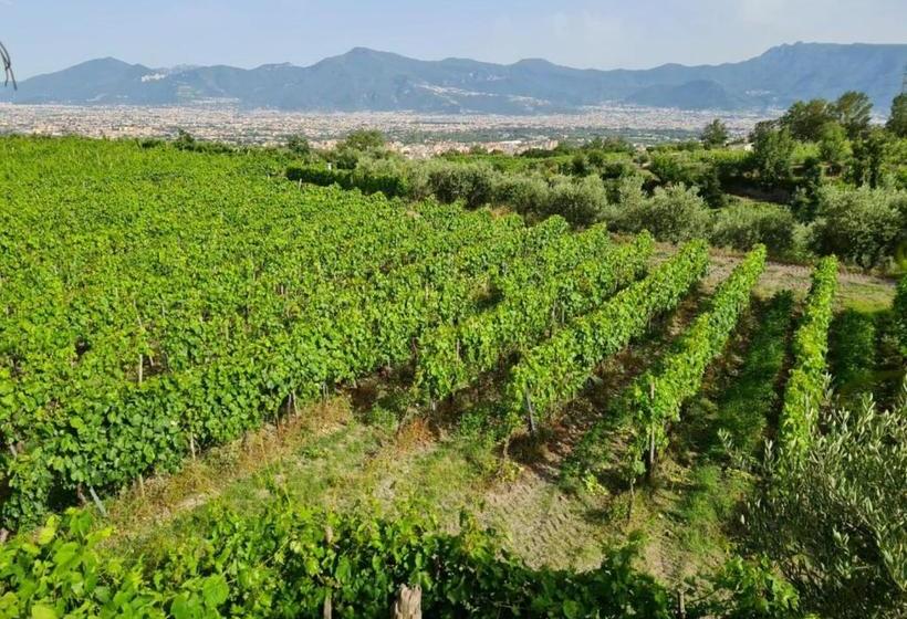 Vesuvio Inn Guest House E Wine Experience