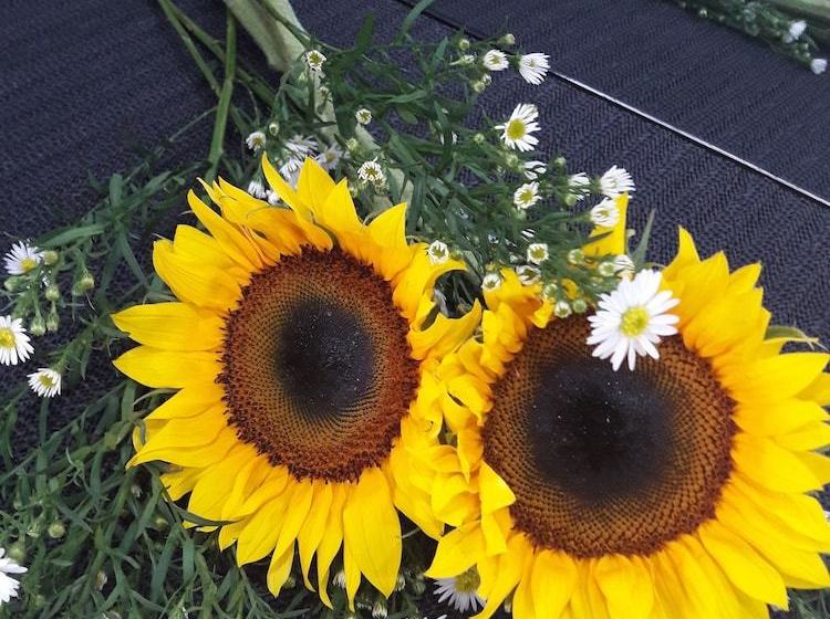 C U Homestay Bukit Indah