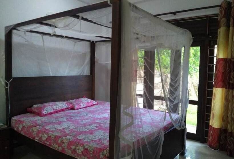 بنسيون Nishan Surf Inn