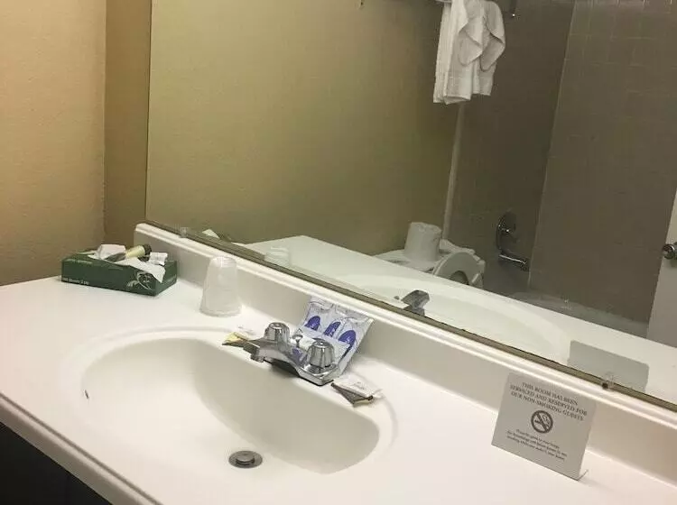 فندق Ambassador Inn