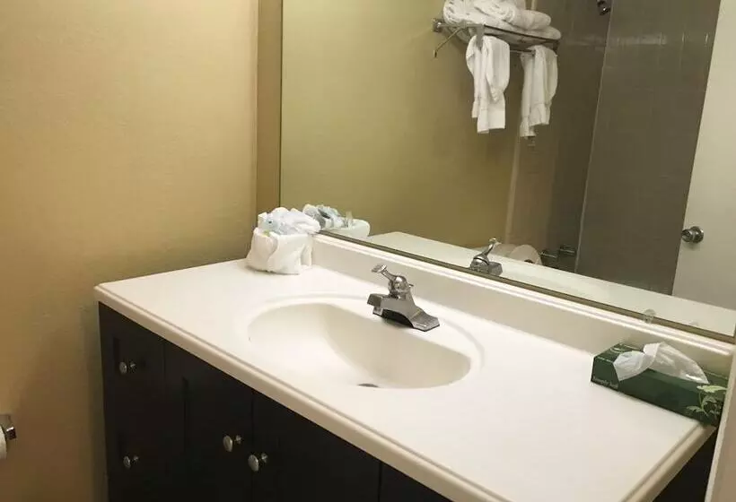 فندق Ambassador Inn