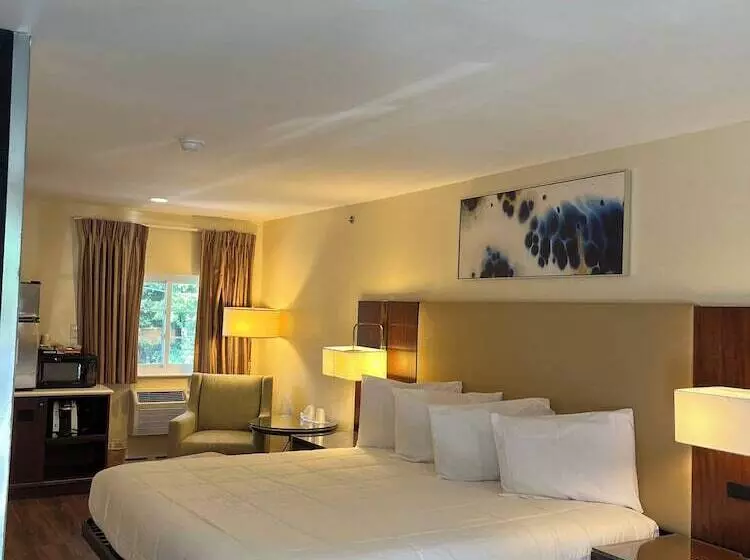 酒店 Anchorage Inn Rochester