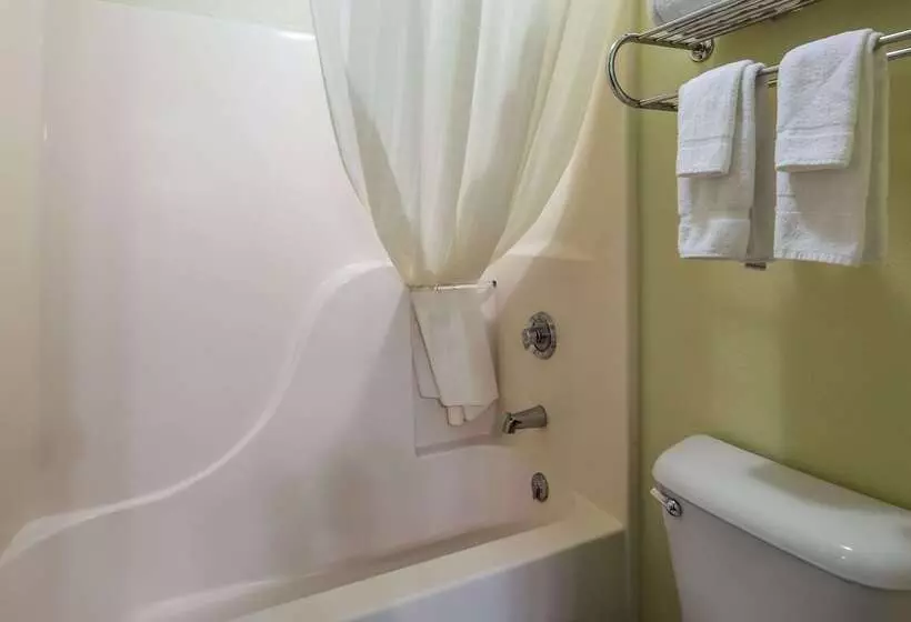 בית מלון כפרי Best Western Richland Innmansfield