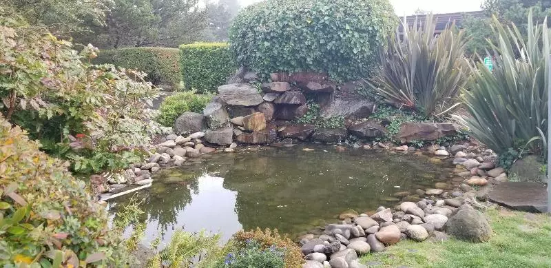 Отель The Ashley Inn & Suites