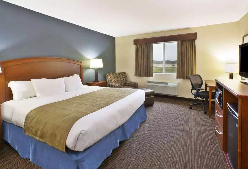 汽车旅馆  Americinn By Wyndham Bay City