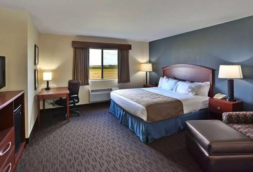 汽车旅馆  Americinn By Wyndham Bay City