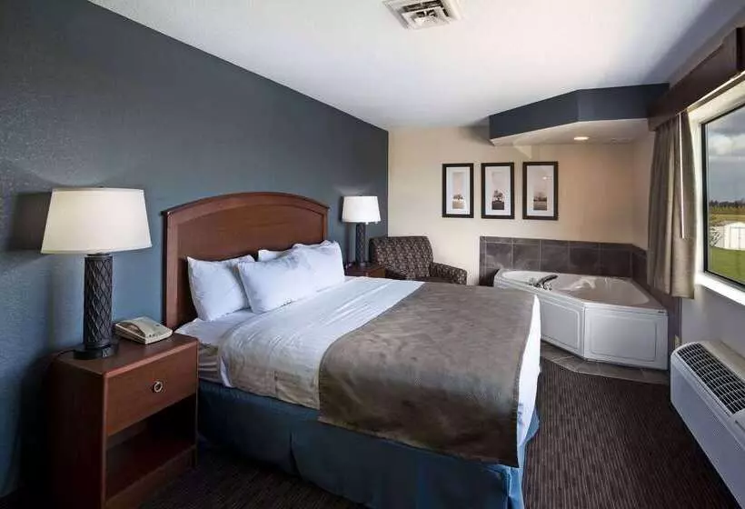 汽车旅馆  Americinn By Wyndham Bay City