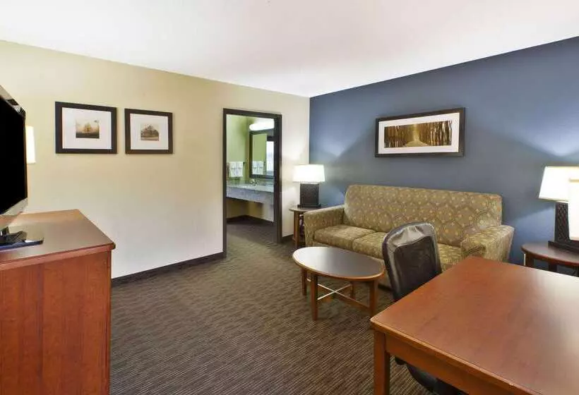 汽车旅馆  Americinn By Wyndham Bay City