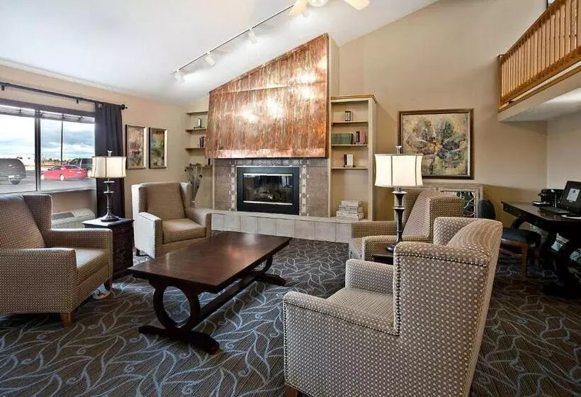 汽车旅馆  Americinn By Wyndham Bay City