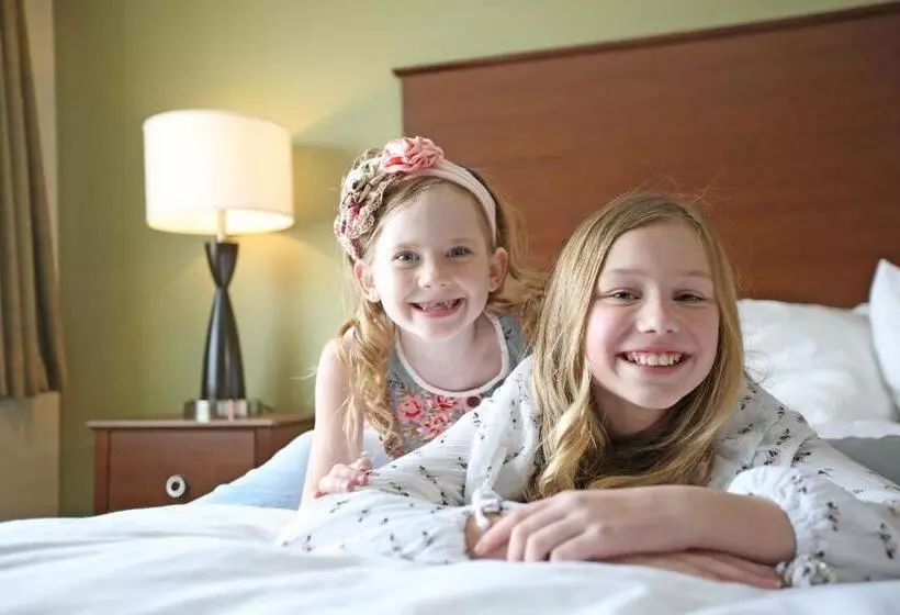 汽车旅馆  Americinn By Wyndham Bay City